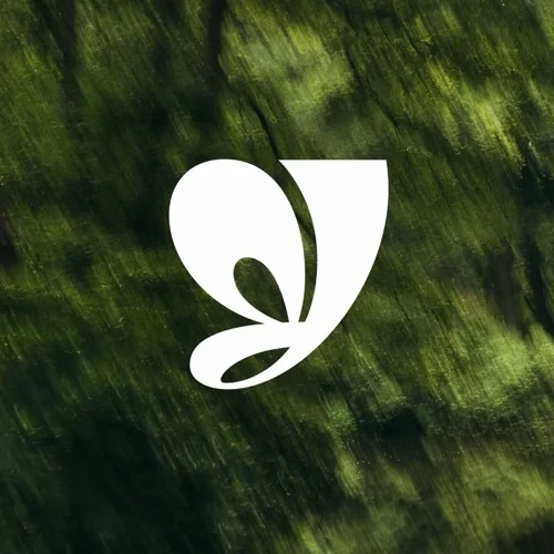 avatars-G31V78QuA3JTKuW1-xz9pjA-t500x500